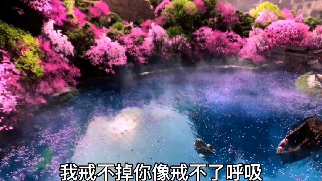 岳阳:以规划促行动,为古树拉起“保护网”